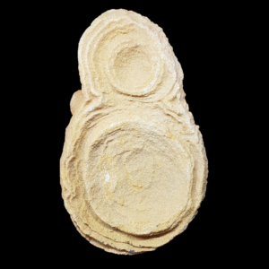 stromatolithe-concretion-maroc