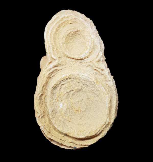 stromatolithe-concretion-maroc