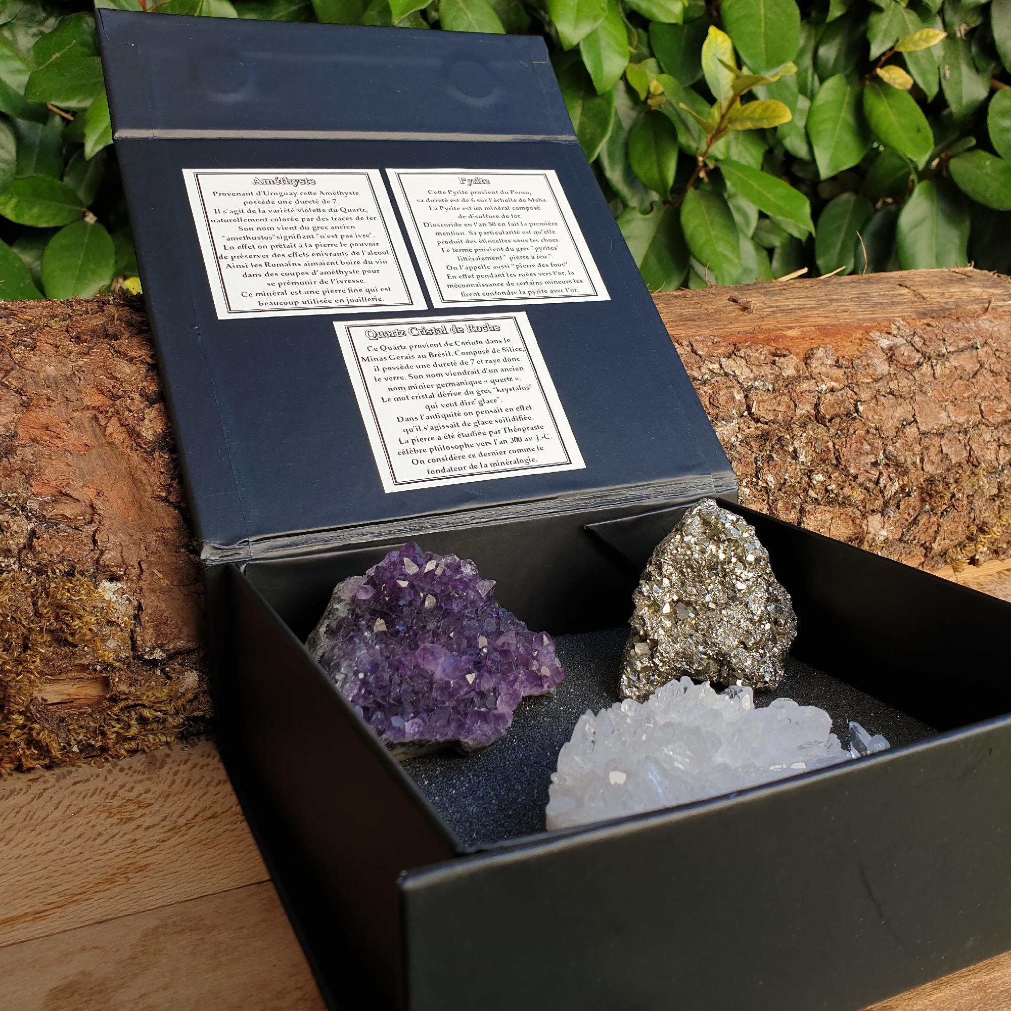 Coffret 3 Minéraux - Cristal de Roche, Améthyste, Pyrite - Cristaux Pierres  Naturelles Collection