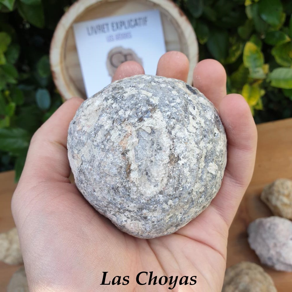 Géode Coconut à casser soi-même - À la pièce - Las Choyas, Chihuahua,  Mexique