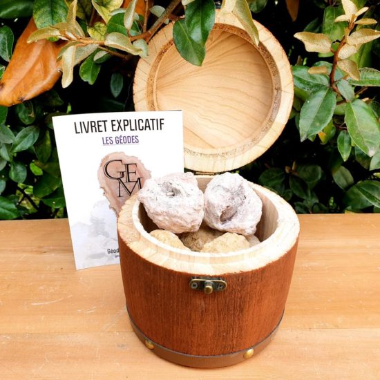 Pot De Fleur,Support En Métal à La Mode, 23CM, 1 Pièce, Pour Décoration