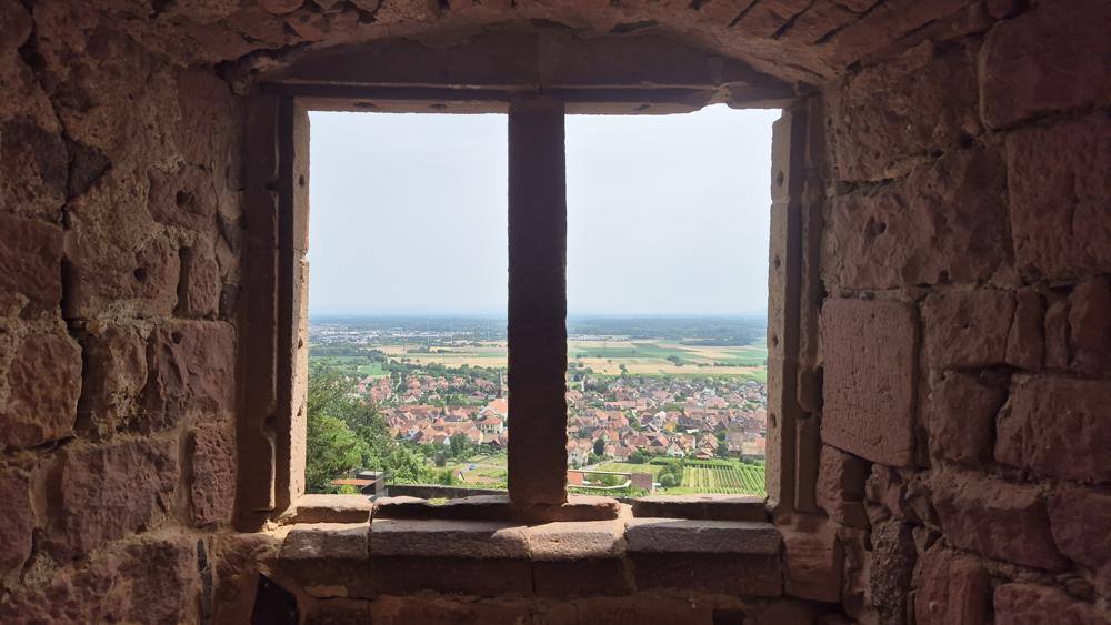 chateau-kintzheim-ruine-alsace-aigles-belle-vue-panorama