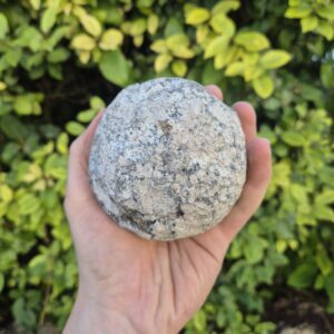 Géode Coconut à casser soi-même - À la pièce - Las Choyas, Chihuahua, Mexique