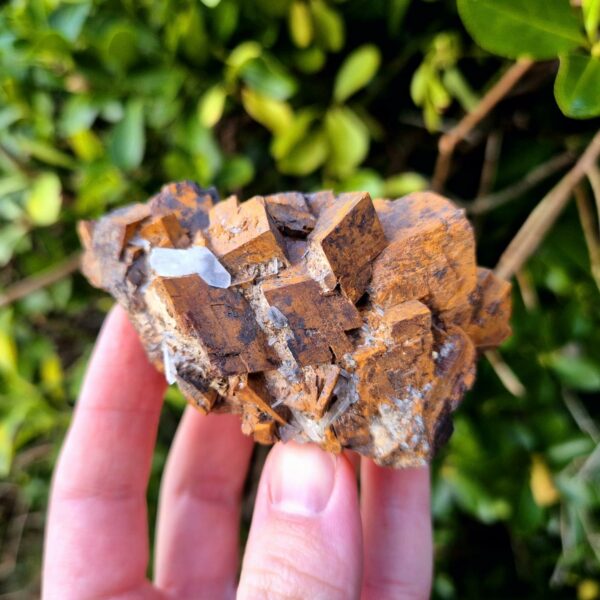 Quartz Cristal de Roche et Sidérite - Vizille, Isère, France