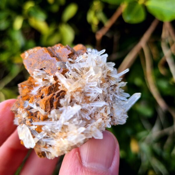 Quartz Cristal de Roche et Sidérite - Vizille, Isère, France