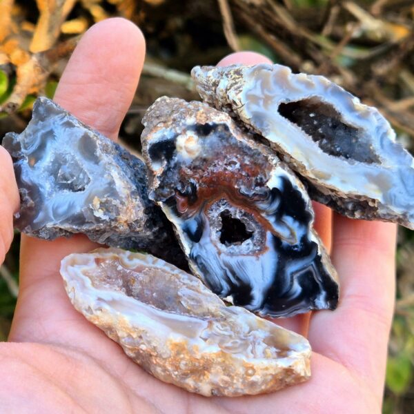 Géodinos Agate et Quartz - Lot de 4 - Oco, Brésil