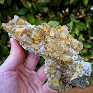 Baryte/Barytine jaune miel - Châtel-Guyon, Puy-de-Dôme, France