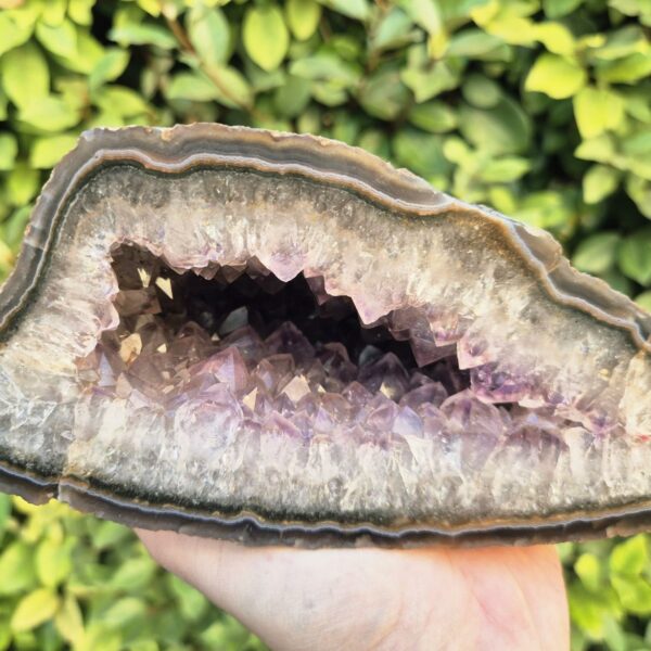 Géode d'Agate/Améthyste - Artigas, Uruguay