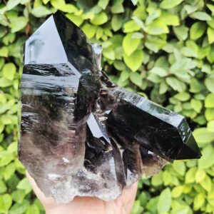 Quartz Fumé Morion - Minas Gerais, Brésil