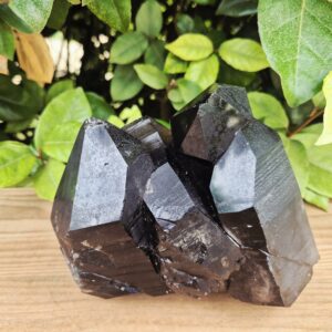 Quartz Fumé Morion - Minas Gerais, Brésil