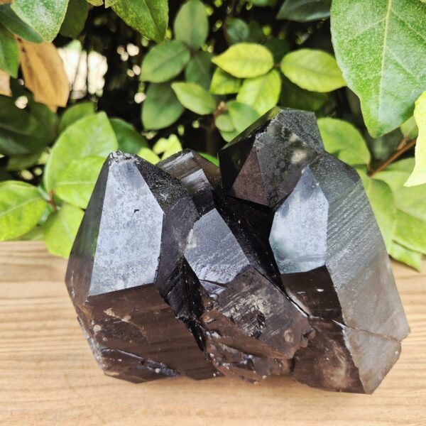 Quartz Fumé Morion - Minas Gerais, Brésil