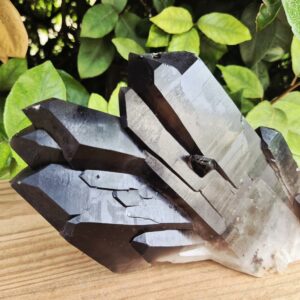 Quartz Fumé Morion - Minas Gerais, Brésil