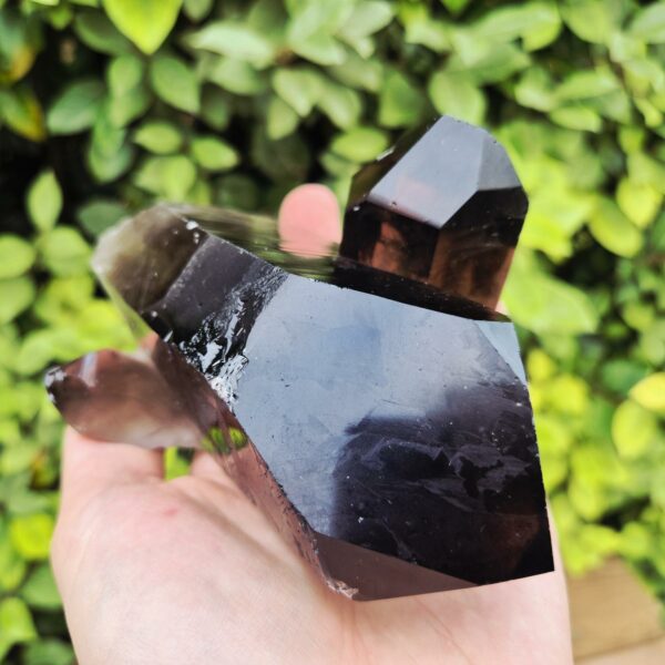 Quartz Fumé Morion - Minas Gerais, Brésil