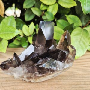 Quartz Fumé Morion - Minas Gerais, Brésil