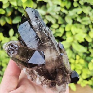 Quartz Fumé Morion - Minas Gerais, Brésil