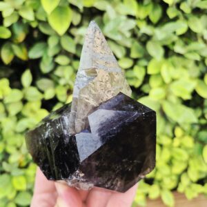 Quartz Fumé Morion - Minas Gerais, Brésil