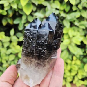 Quartz Fumé Morion - Minas Gerais, Brésil