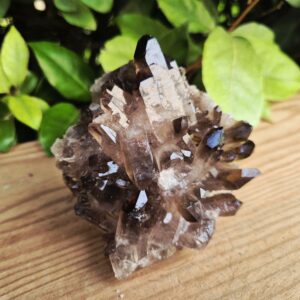 Quartz Fumé Morion - Minas Gerais, Brésil