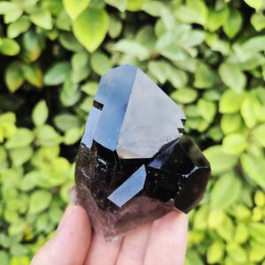 Quartz Fumé Morion - Minas Gerais, Brésil