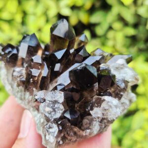 Quartz Fumé Morion - Minas Gerais, Brésil