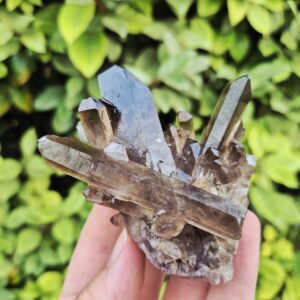 Quartz Fumé Morion - Minas Gerais, Brésil