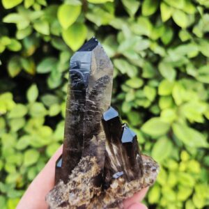 Quartz Fumé Morion - Minas Gerais, Brésil