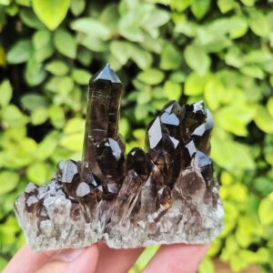 Quartz Fumé Morion - Minas Gerais, Brésil