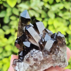 Quartz Fumé Morion - Minas Gerais, Brésil