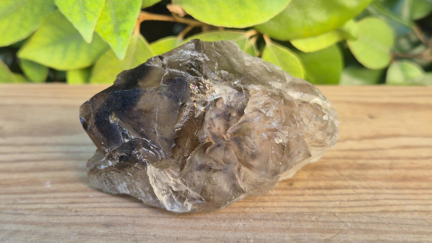 GEM_20260704_201544