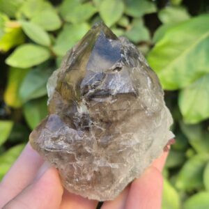 Tourmaline Watermelon dans Quartz fumé Crocodile - Brésil