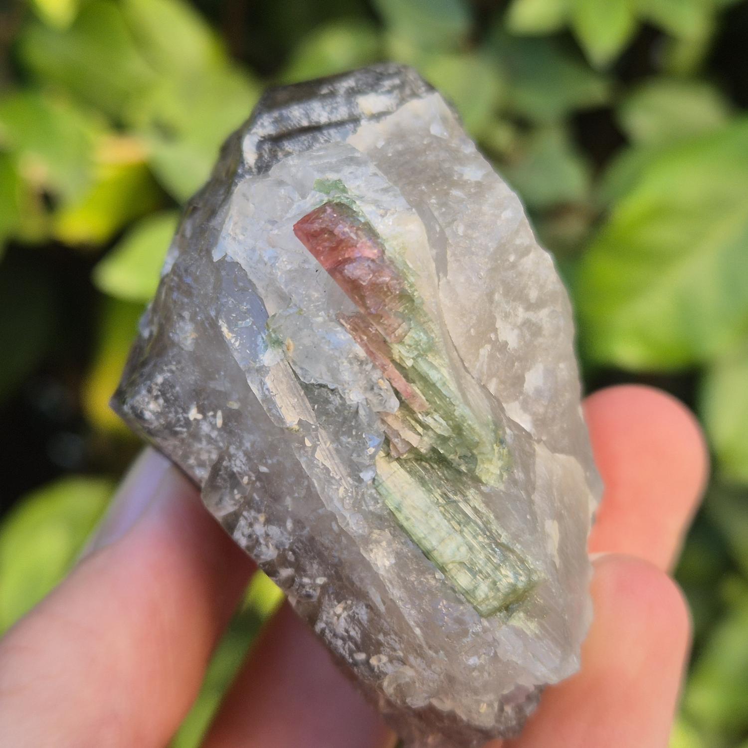 GEM_20260704_201657