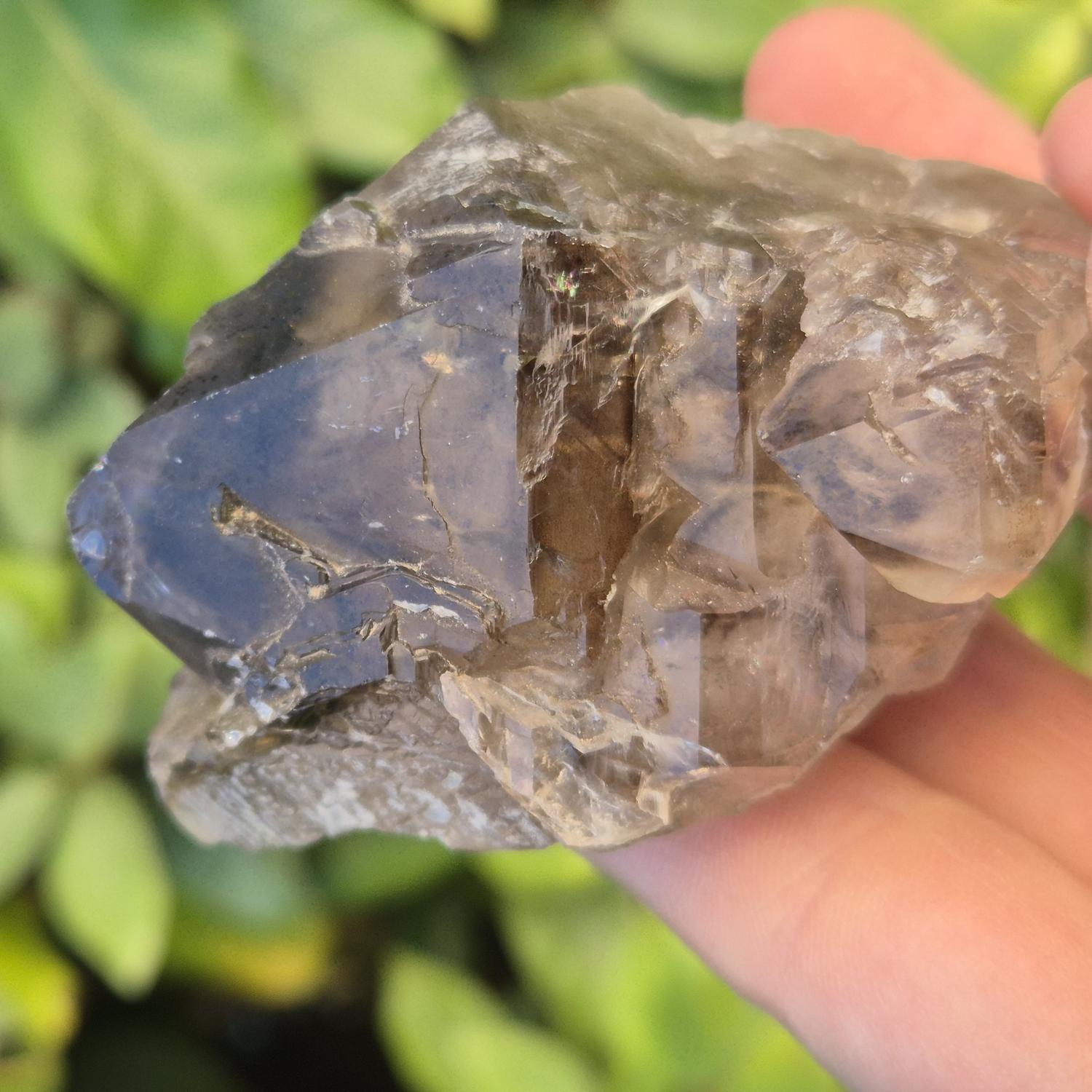 GEM_20260704_202037