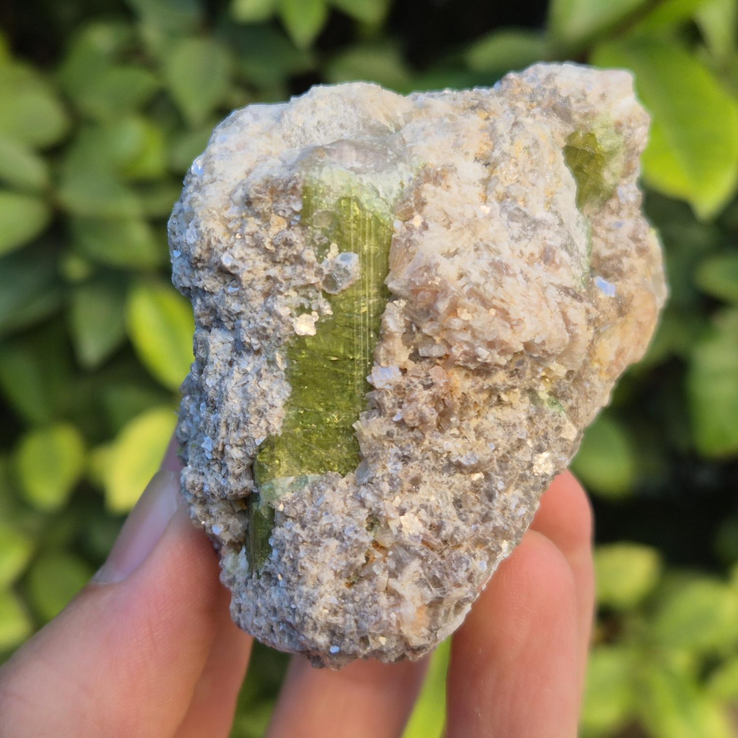 GEM_20260704_202110