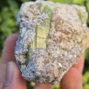 Tourmaline verte Verdélite sur Muscovite - Brésil