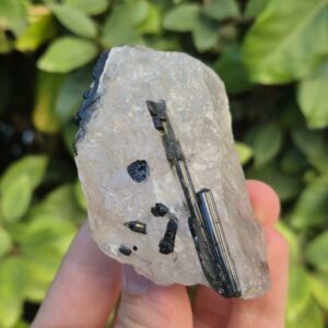 Tourmaline verte Verdélite dans Quartz - Brésil