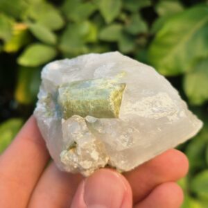 Tourmaline verte Verdélite dans Quartz - Brésil