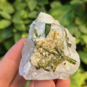 Tourmaline verte Verdélite dans Quartz - Brésil