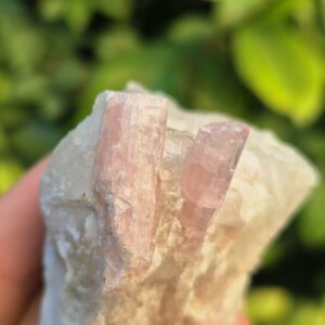 Tourmaline rose Rubellite dans Quartz - Brésil