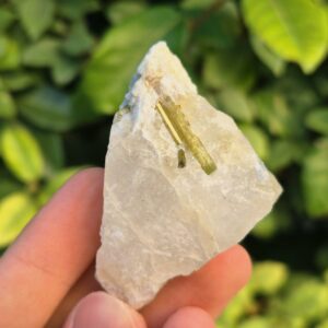 Tourmaline verte Verdélite dans Quartz - Brésil