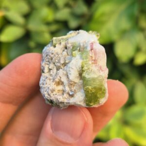 Tourmaline verte et rose dans Quartz - Brésil