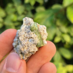 Tourmaline verte Verdélite dans Quartz - Brésil