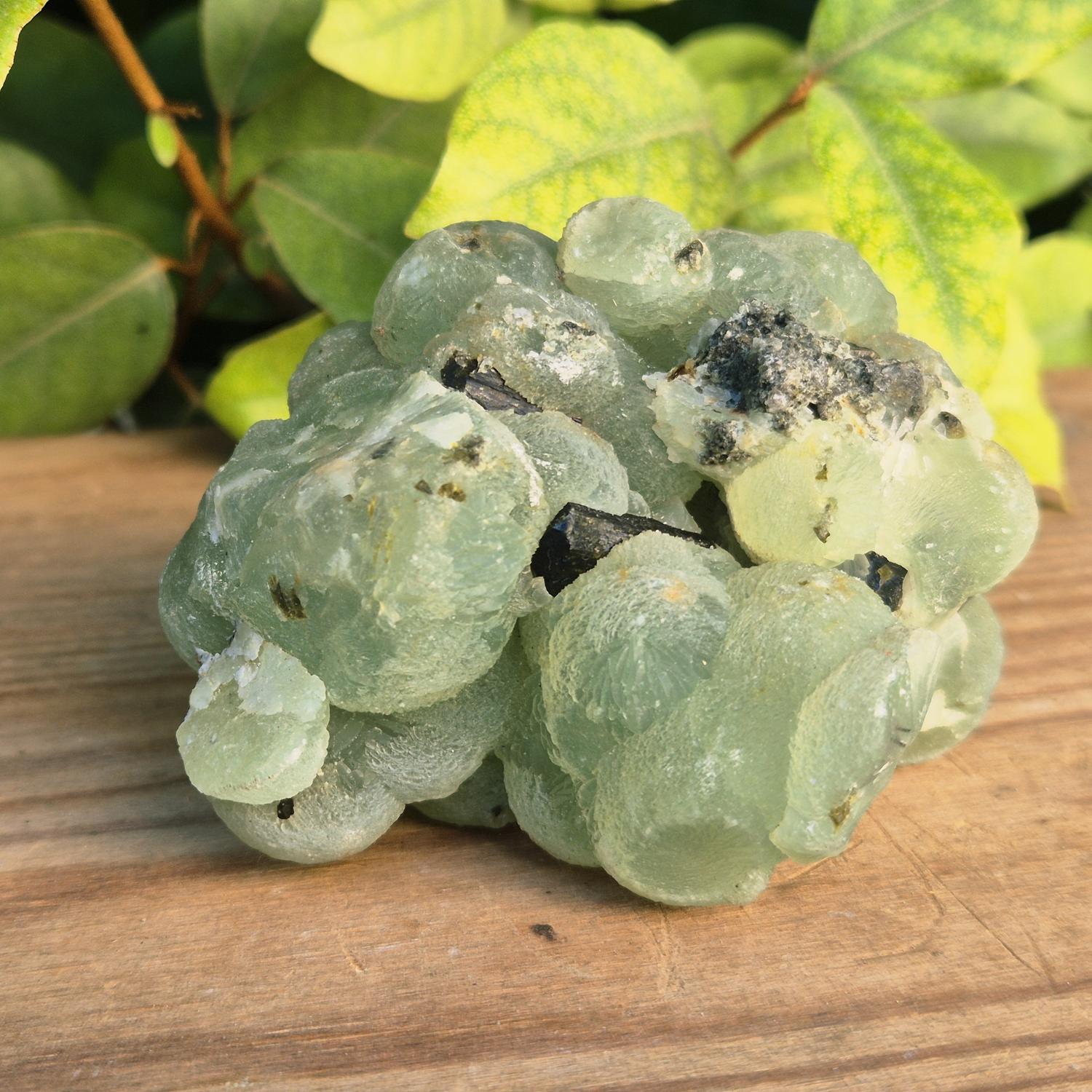 prehnite epidote du Mali