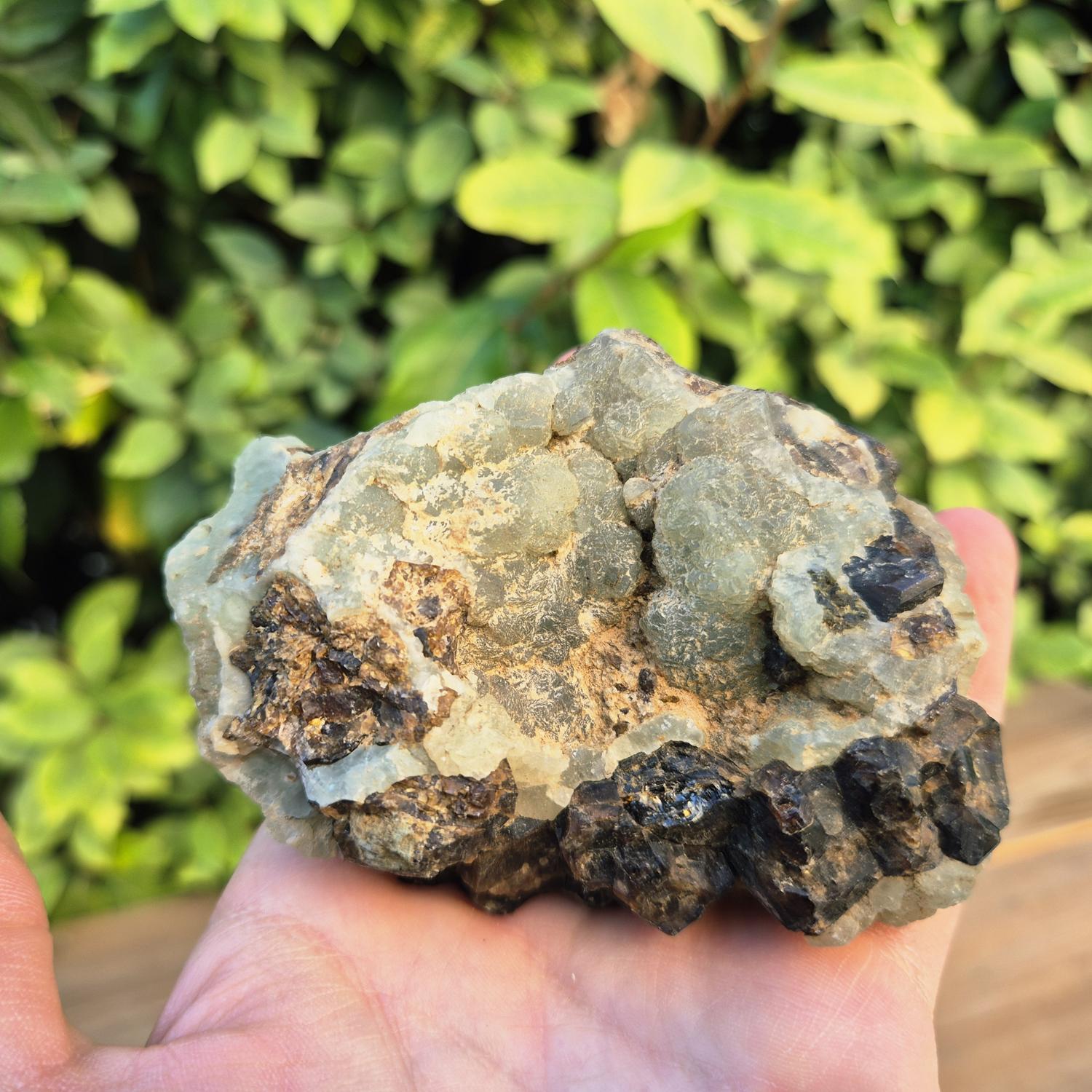 GEM_20260707_192237