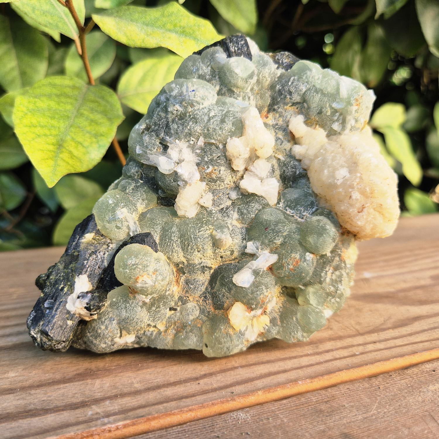 GEM_20260707_192302