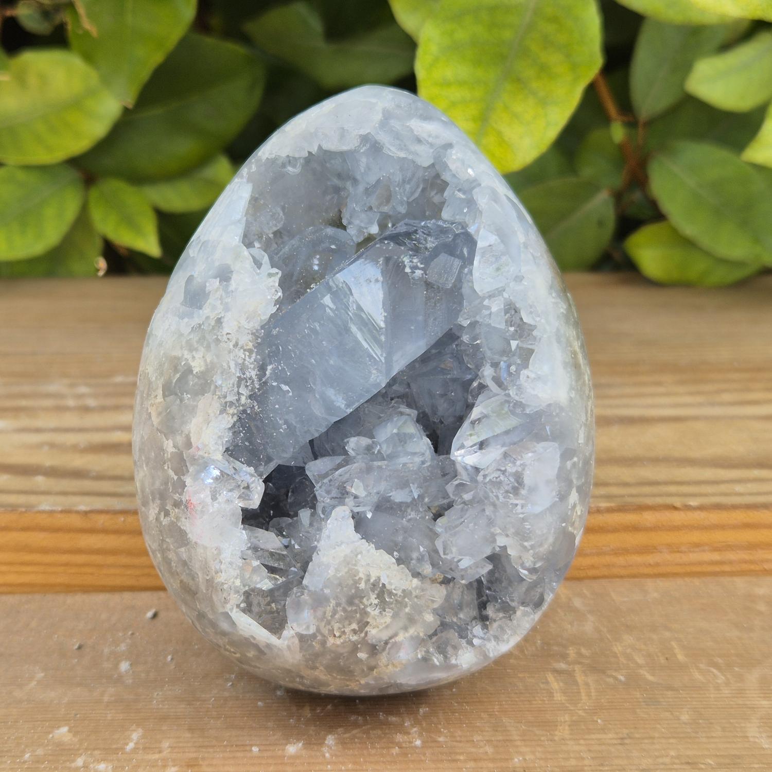 GEM_20260710_141003