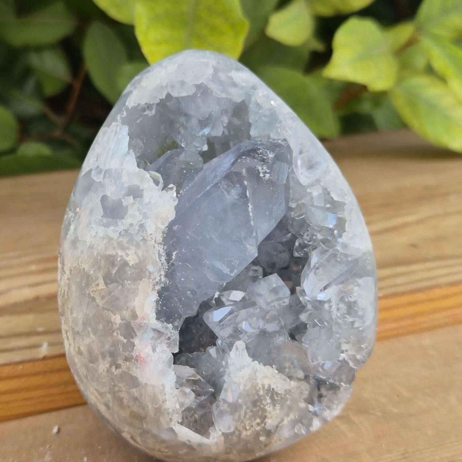 GEM_20260710_141005