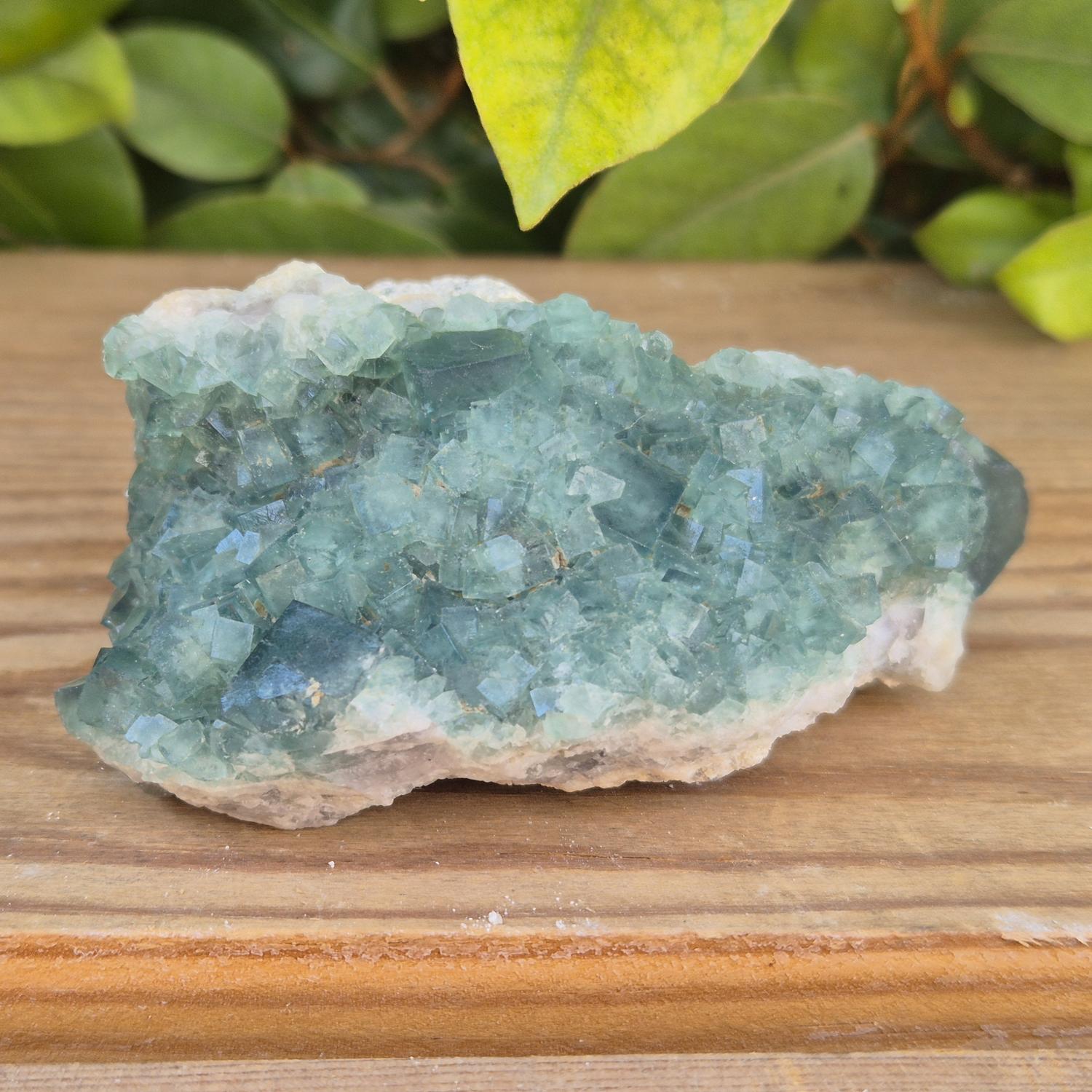 GEM_20260710_155530