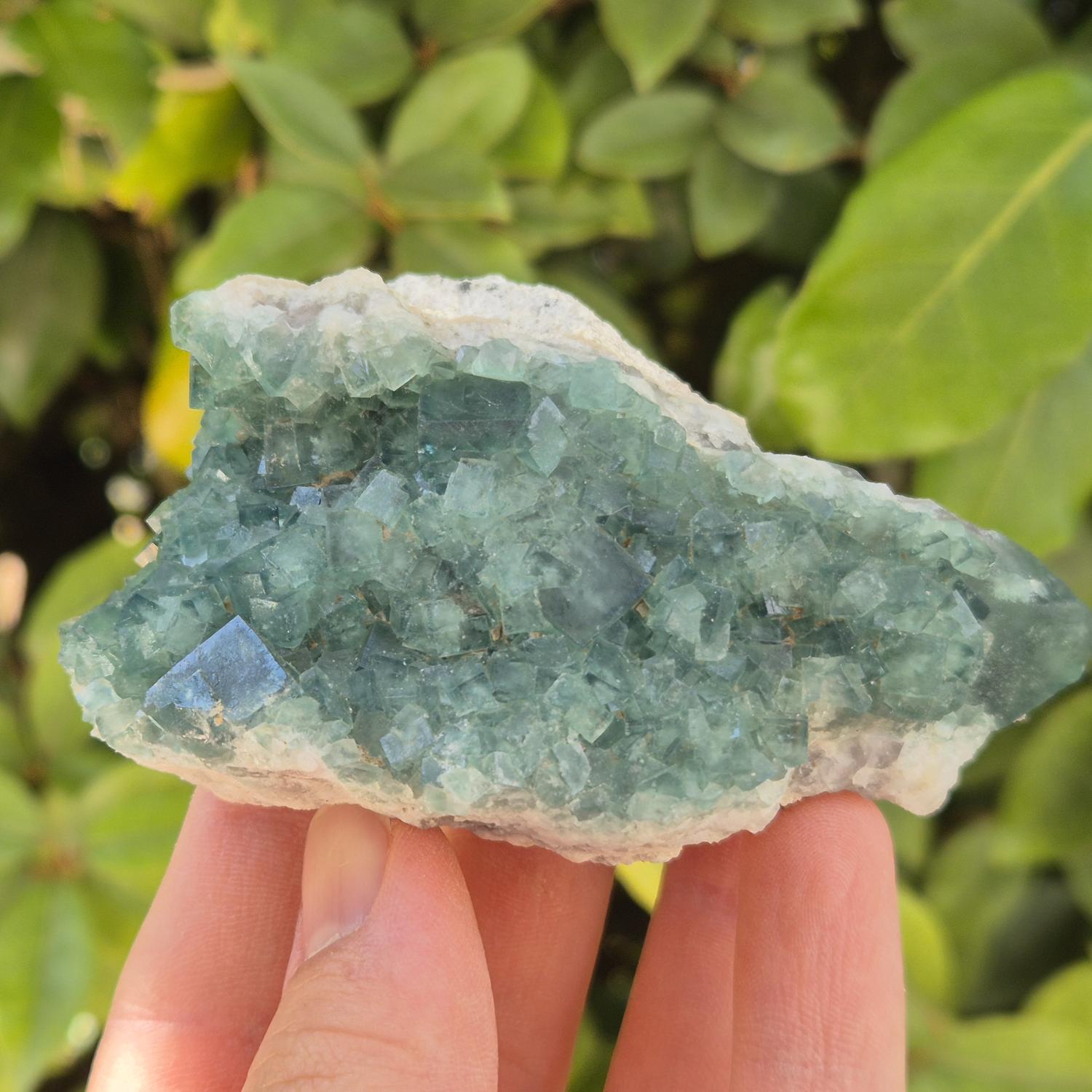 Fluorite verte - Madagascar