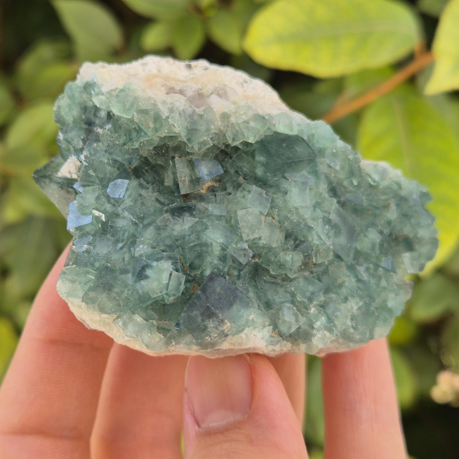 GEM_20260710_155540
