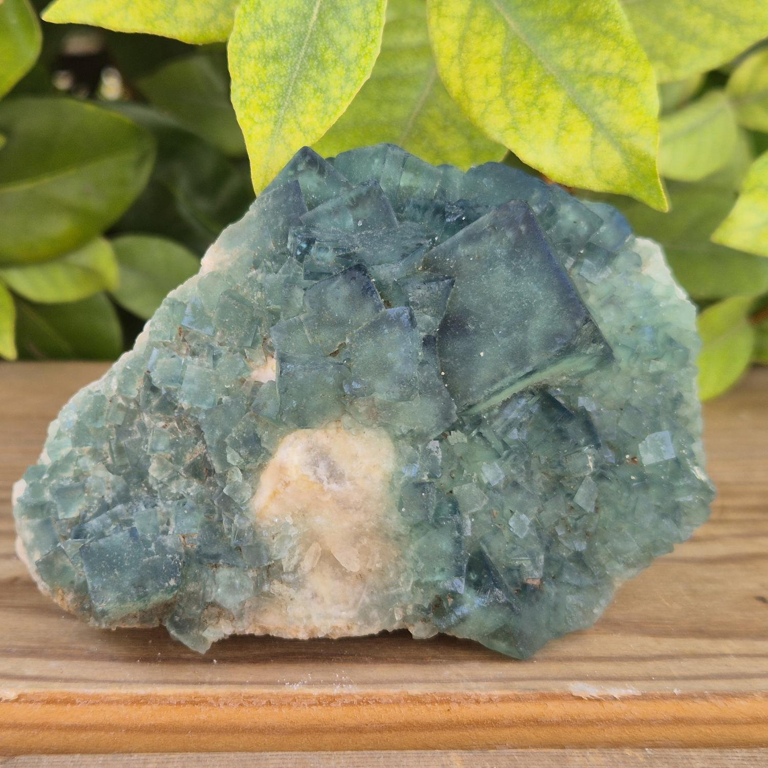 GEM_20260710_155600